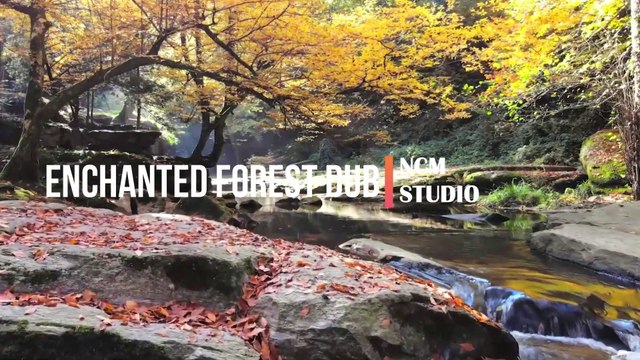 Enchanted Forest Dub - South London HiF Reggae Musici, Happy Music, Tribal Music, Ritual Music