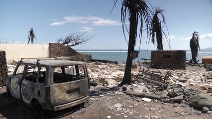 하와이 마우이섬 산불 실종자 200명 넘어 / YTN