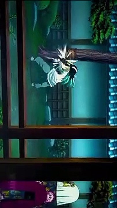 Demon slayer swordsmen