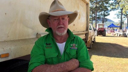 Future of native timber harvesting in NSW at risk as industry waits for answers on koala park