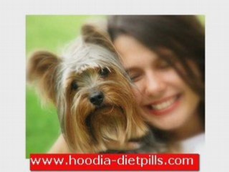 Hoodia-DietPills.com: Summerday at the Beach
