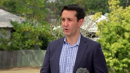 Qld minister denies speculation Labor support for premier declined