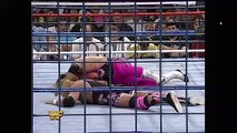 Bret Hart Vs Owen Hart - Steel Cage Match - SPANISH