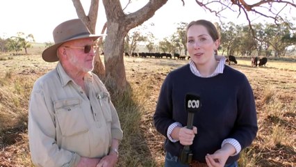 NSW Upper Hunter farmers perparing for drought