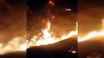 Karabük'te çam ağaçlarının bulunduğu alanda çıkan örtü yangını söndürüldü