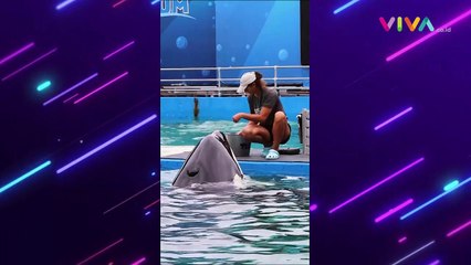 Paus Tertua di Penangkaran Mati, 'Terpenjara' 50 Tahun