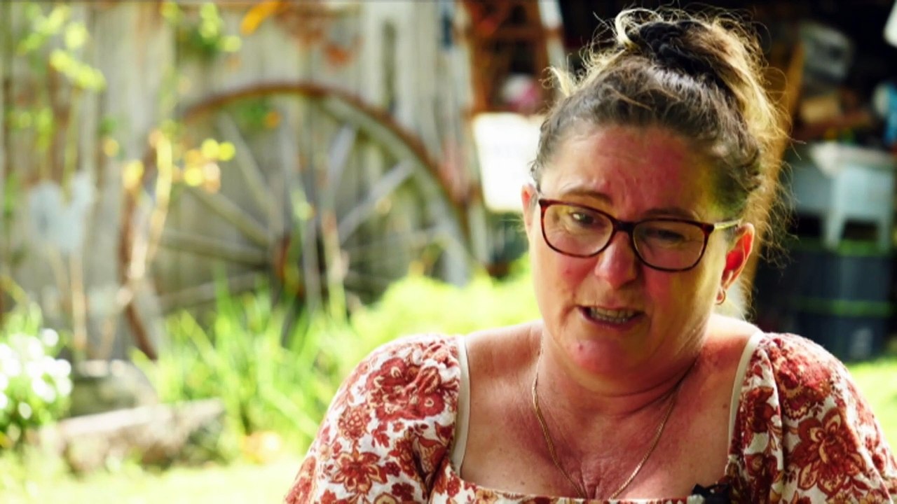 Common tick bite can cause allergy to red meat