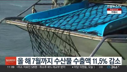 올 해 7월까지 수산물 수출액 11.5% 감소