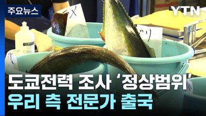 日 도쿄전력 이어 수산청 조사도 기준치 충족...中-日 갈등 고조 / YTN