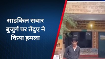 बहराइच: साइकिल सवार बुजुर्ग पर तेंदुए ने किया हमला, अस्पताल पहुंचने पर नहीं मिले डॉक्टर