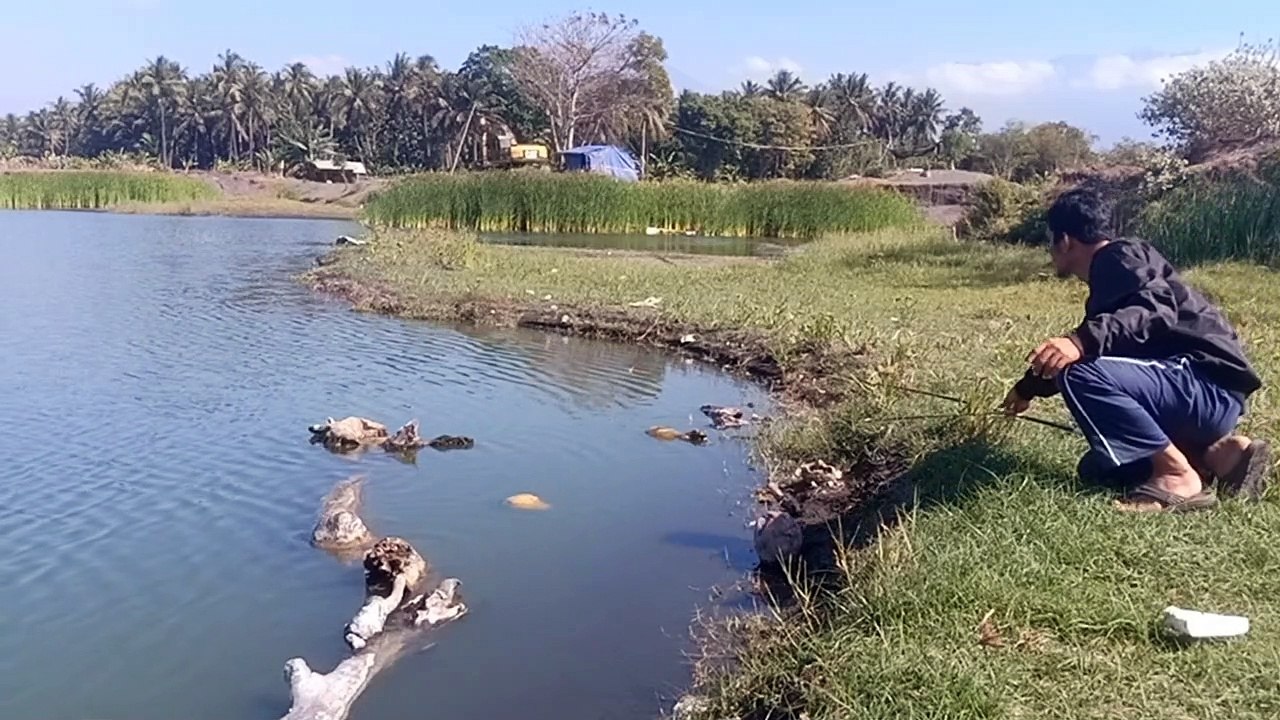 mancing asik