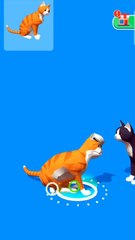 kucing memberi nasihat