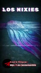 Los Nixies