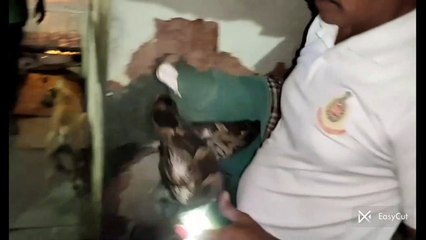 महिला ने हिम्मत जुटाकर टापरी में सो रहे बच्चों को बाहर निकाला