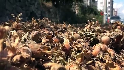 Türkiye, son 10 yılda fındık ihracatından 20 milyar dolar girdisi sağladı