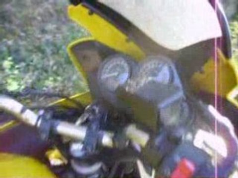 600 FAZER pot devil trophy