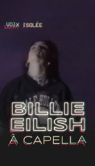 Voix isolée de Billie Eilish à Rock en Seine 
