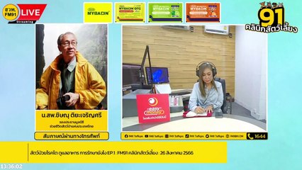 สัตว์ป่วยโรคไต ดูแลอาหาร การรักษายังไง EP.1 : FM91 คลินิกสัตว์เลี้ยง : 26 สิงหาคม 2566