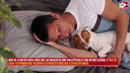 La gente prefiere las mascotas a las parejas