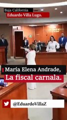 María Elena Andrade, La fiscal carnala.