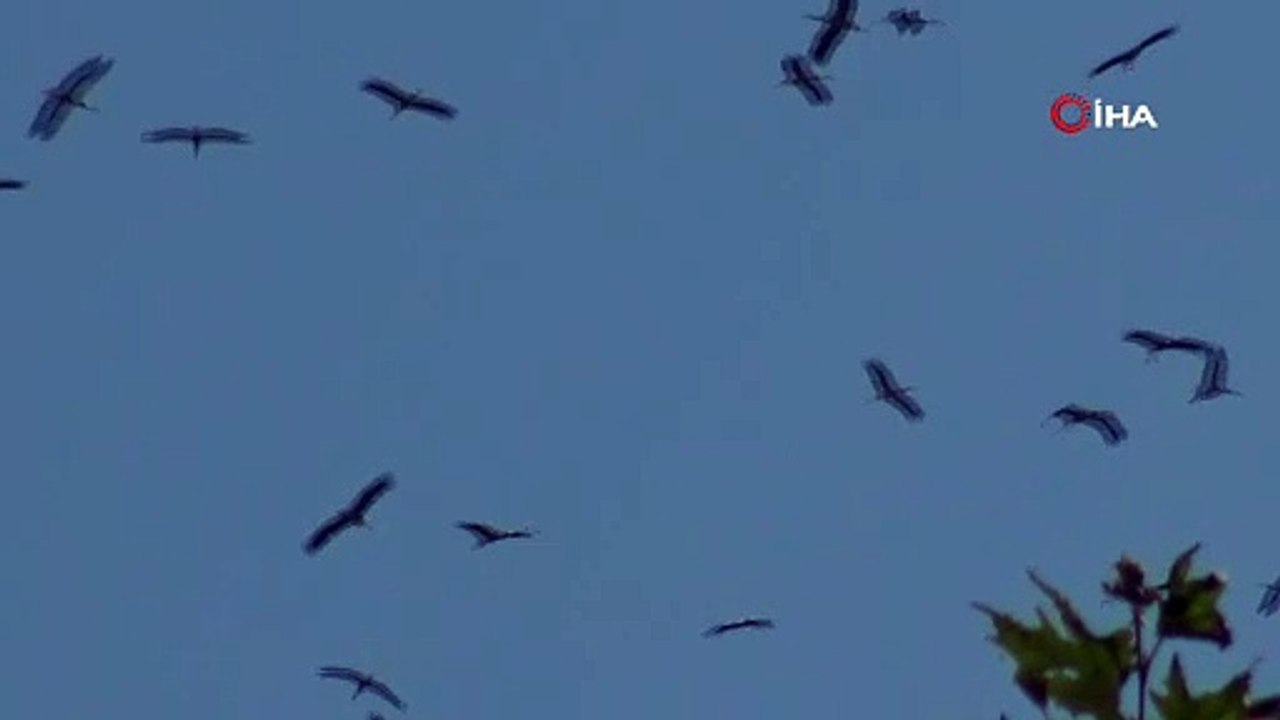 Bursa semalarında görsel şölen