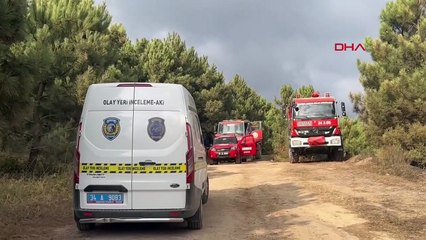 Incendie de forêt à Maltepe Başıbüyük : 3 hectares de superficie endommagés