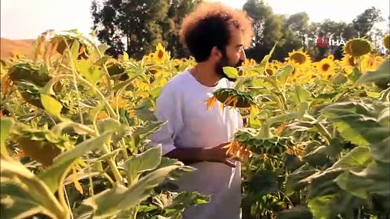 Yuksekova, pas Thrace... Le champ de tournesols est devenu un endroit populaire pour ceux qui veulent prendre des photos.