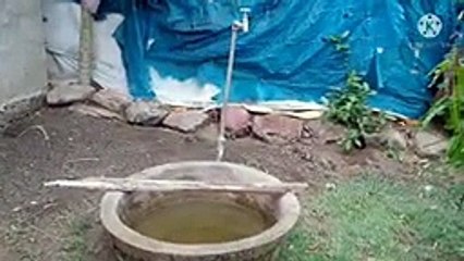 SaveTube.io-#village #tree #nature #water #garalu #watermelon #vlog #travel #vacation #journey #palaturu-(144p)