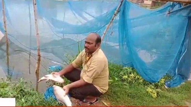 मधुबनी: मछली पालने पर सरकार दे रही बड़ी मदद, इस योजना के तहत मिलेगा लाभ