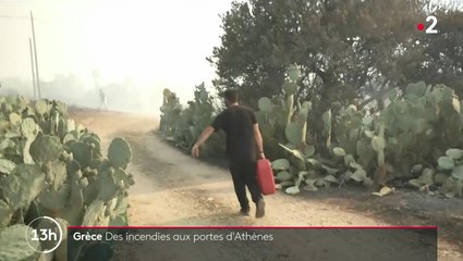[Zap Actu] Des incendies aux portes d'Athènes (19/07/2023)