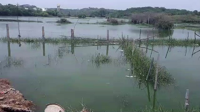 Kishangarh - खेतों में फसलें चौपट, घरों की नींव में भरा पानी