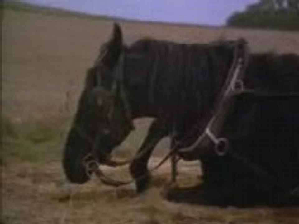 Prince Noir Partie 5