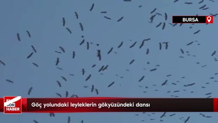 Bursa'da göç yolundaki leyleklerin gökyüzündeki dansı