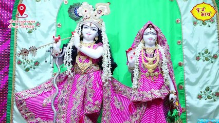 हमारे श्याम है हीरा _ Chitra Vichtra Ji Song _ Shri  Banke Bihari Laal _ Vraj Bhav