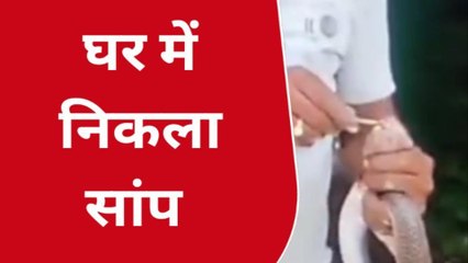 पीपल्दा: घर में सांप निकलने से मचा हडकंप, और देखिए यूँ किया रेस्क्यू