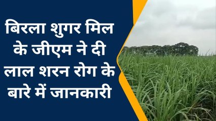 कुशीनगर: गन्ने को लगता हैं पूर्वांचल का अभिशाप, देखें पूरी रिपोर्ट