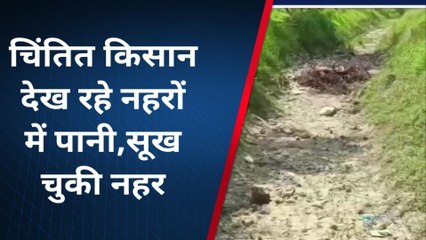 आज़मगढ़: सूख रही धान की फ़सल,नहरों में नहीं आया पानी