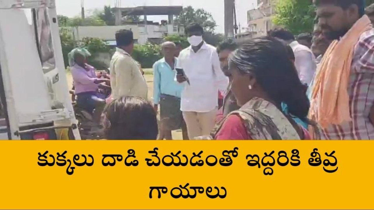 భద్రాద్రి: వీధి కుక్కల స్వైర విహారం.. జనం గుండెల్లో భయం