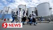 First Fukushima plant media tour post-water release