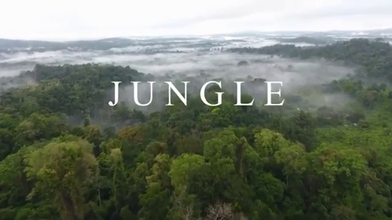A beautiful nature : A Visual Symphony of Nature's Beauty