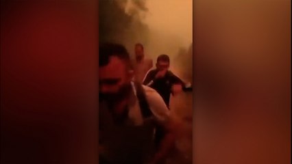 Yunanistan‘daki orman yangınında ölen 18 göçmenin son anlarını gösteren videolar yayınlandı