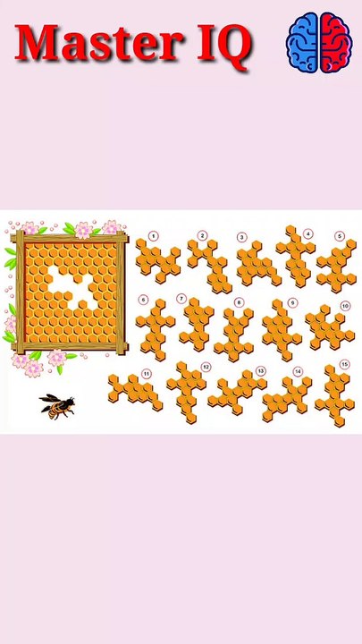 Can You Joint This Honey Puzzle_ #shorts #viral