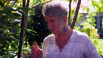 Gardening Australia - Series 34 Thai, Grevillea, Pots, Hibiscus, Lawn & Coast - 1920x1080 4076K