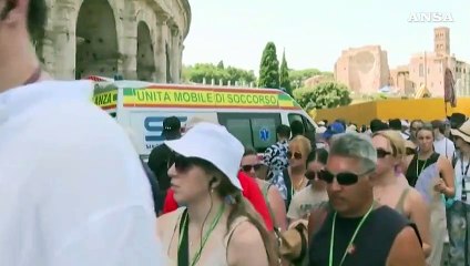 Roma, sos topi intorno al Colosseo: scatta la derattizzazione