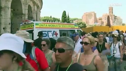 Roma, sos topi intorno al Colosseo: scatta la derattizzazione
