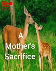 Mother Deer Saves her Fawn   Crocodile attacks Deer   Deer vs Crocodile #shorts