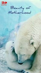 Motherhood   inspirational clip