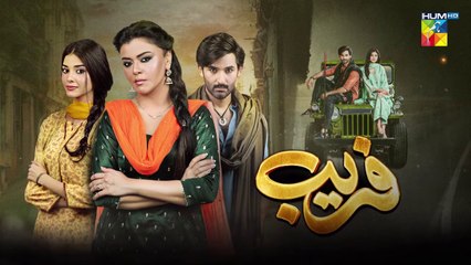Fareb - Episode 17 - 27th Aug 2023 - [ Zain Baig, Zainab Shabbir , Maria Wasti ] HUM TV