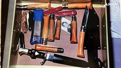 Delitto di via Poma e mostro di Bolzano, lo scenario di Cagnan