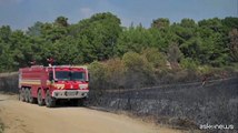 Grecia, brucia ancora il Parco nazionale della foresta di Dadia